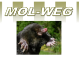 Mol Weg